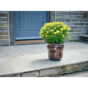 Pot-Mate Discreet Plant Pot Feet 200mm