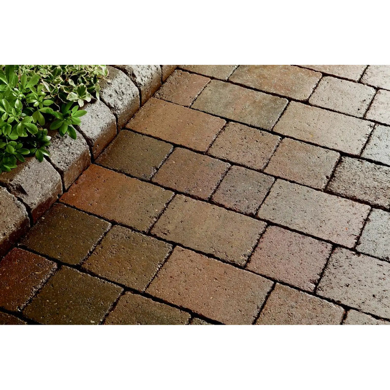 Thompson's Patio & Block Paving Seal 5L Wet Look