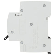 BG 40a Type B Mcb