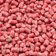 Ambassador Berry Suet Pellets 500g