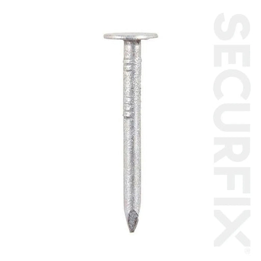 Securfix Clout Nails Galvanised 20mm 500g