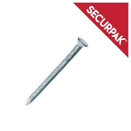 Securpak Round Wire Nails Galvanised 120g 100mm