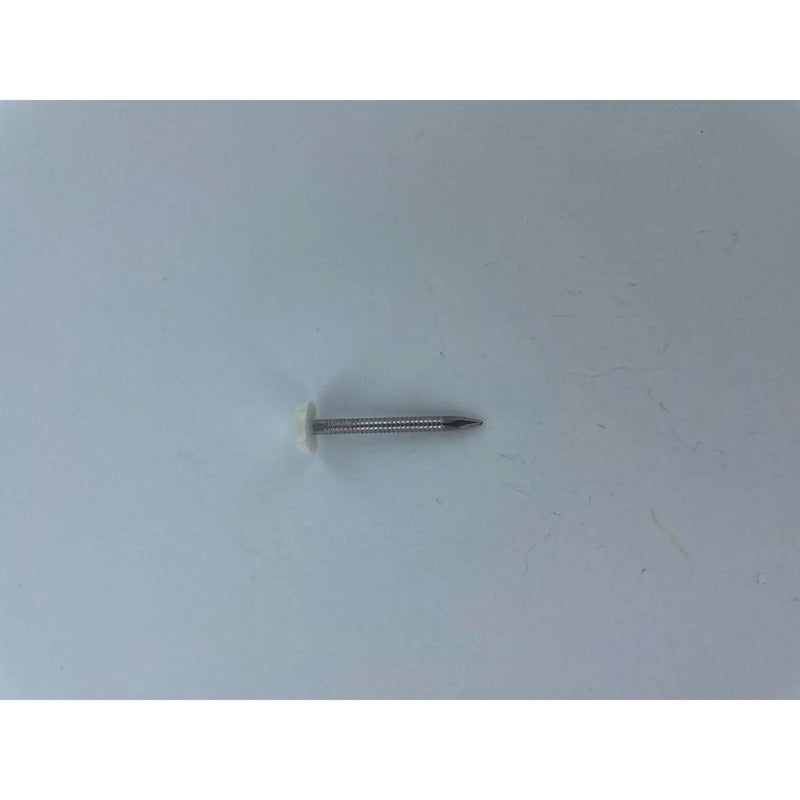 Securfix Stainless Steel Plastic Headed Nail White 40mm 50 Pack