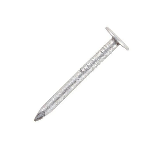 Securpak Clout Nails Galvanised 30mm 90g