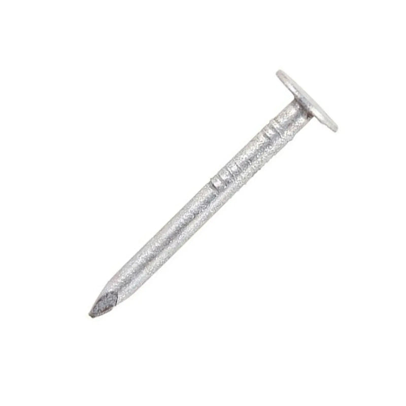 Securpak Clout Nails Galvanised 30mm 90g