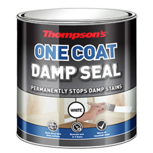 Thompson's One Coat Damp Seal 250ml