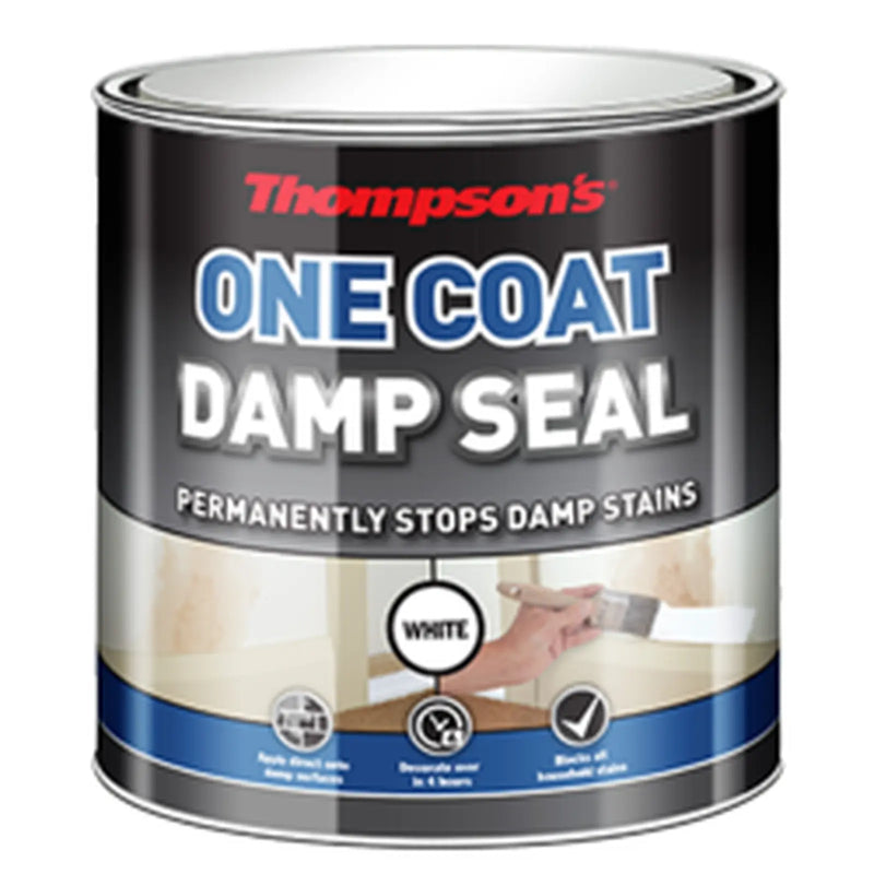 Thompson's One Coat Damp Seal 250ml