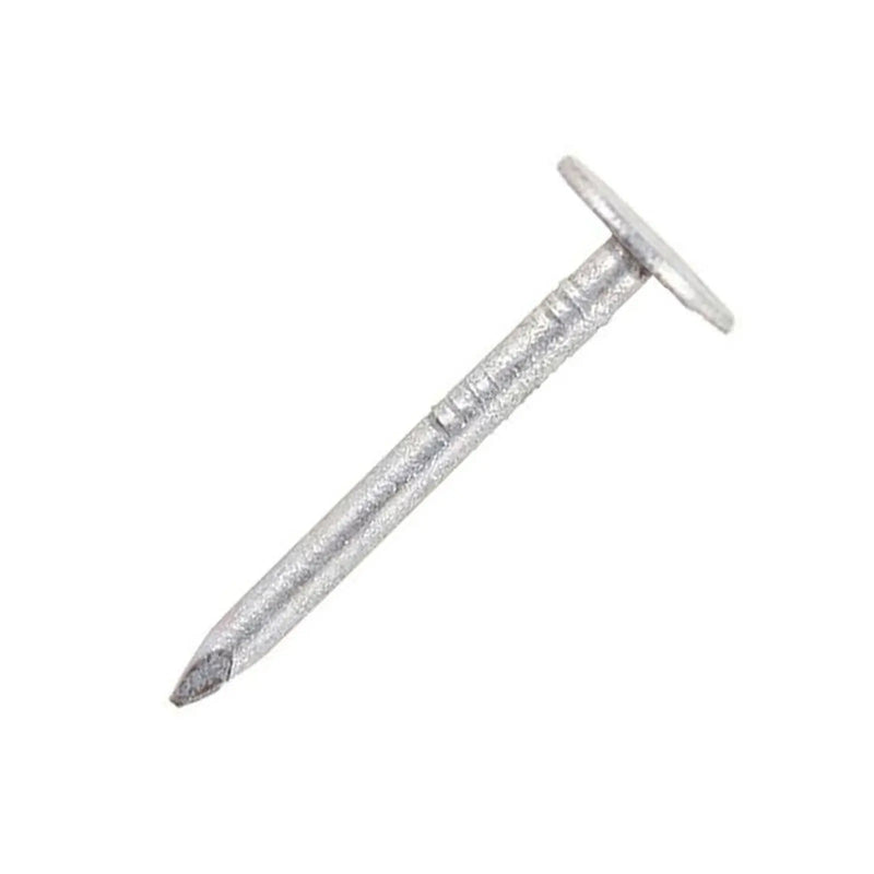 Securpak Large Head Clout Nails 25mm 90g