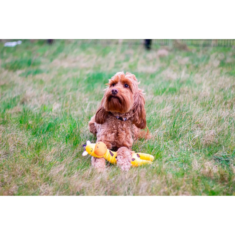 ROSEWOOD Eco Friendly Giraffe Dog Toy