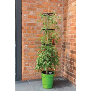Garland Self Watering Grow Pot Tower Green
