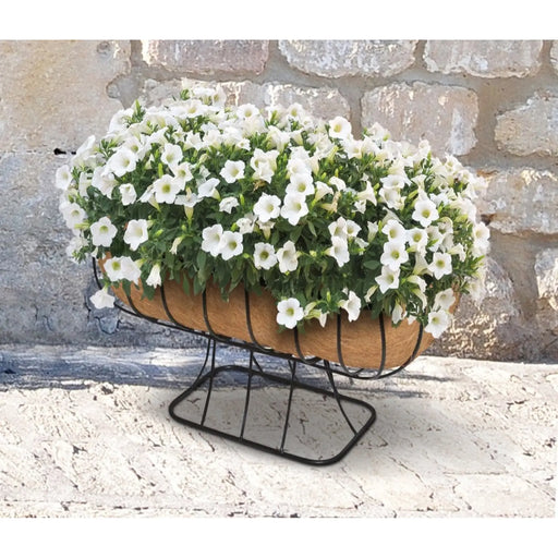 Ambassador Cradle Planter  With Coco Liner 24"