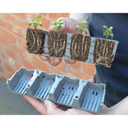 Garland 24 Cell Fast Root Success Kit