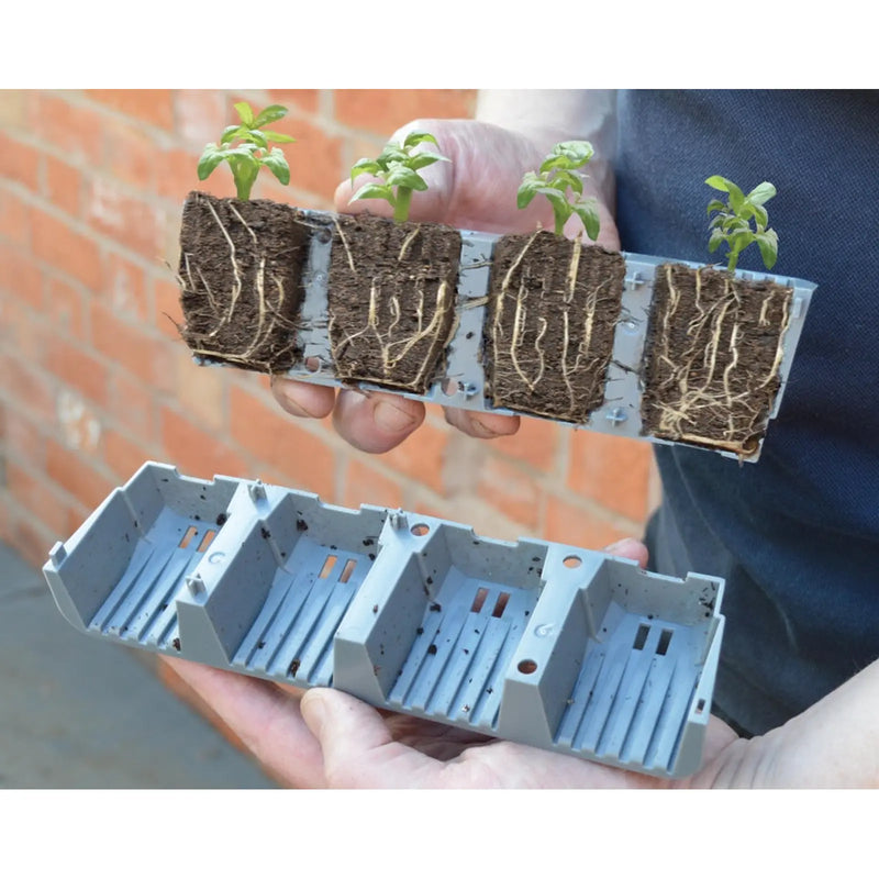 Garland 24 Cell Fast Root Success Kit