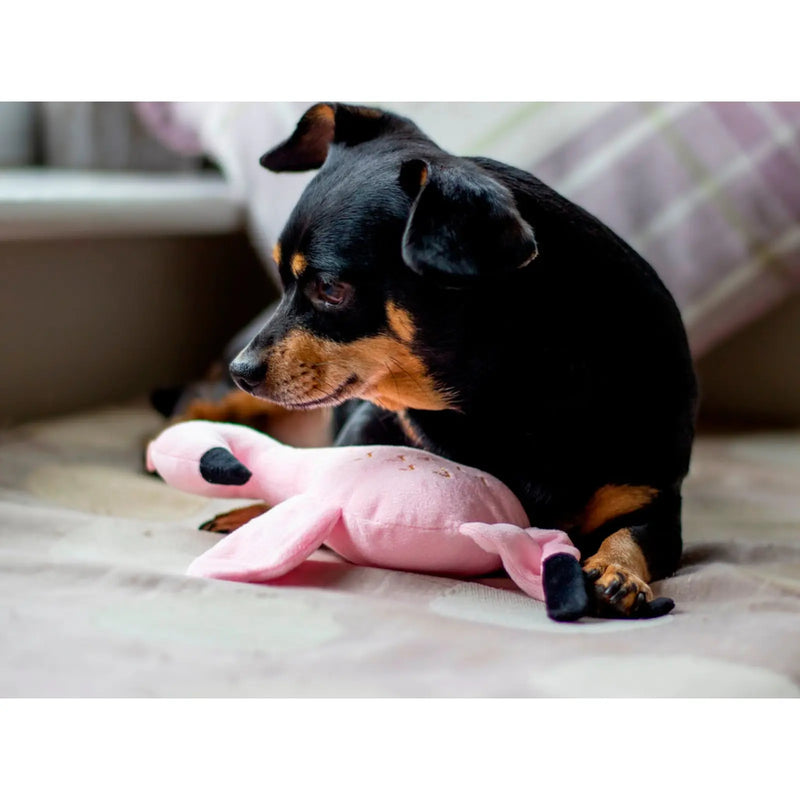 ROSEWOOD Eco Friendly Flamingo Dog Toy