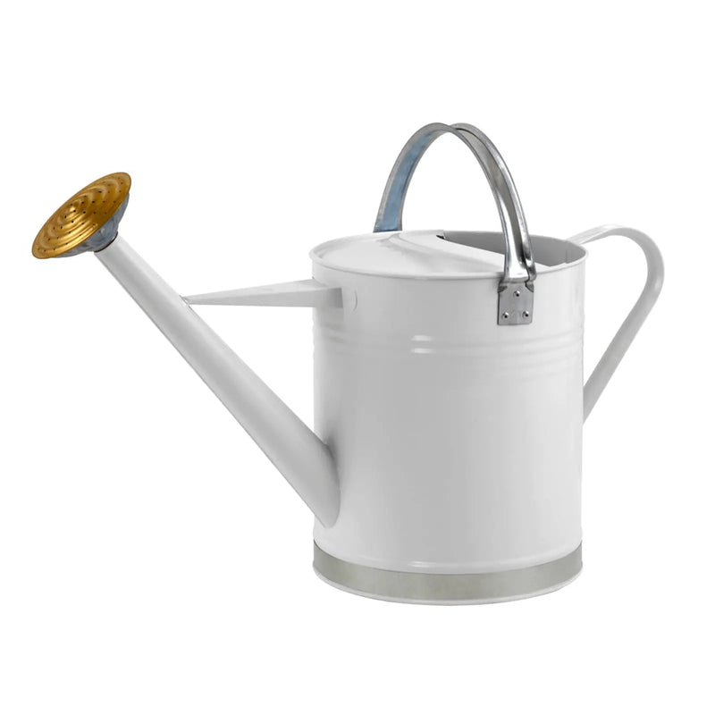 Ambassador Metal Watering Can Cream  2 Gallon