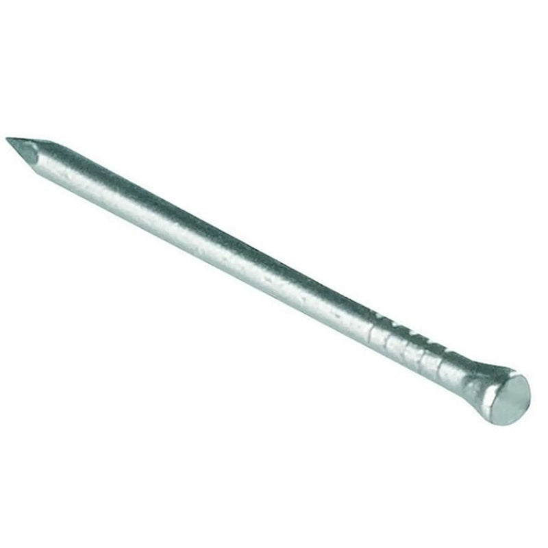St/Steel Panel Pins 30x1.60mm 1kg Bx