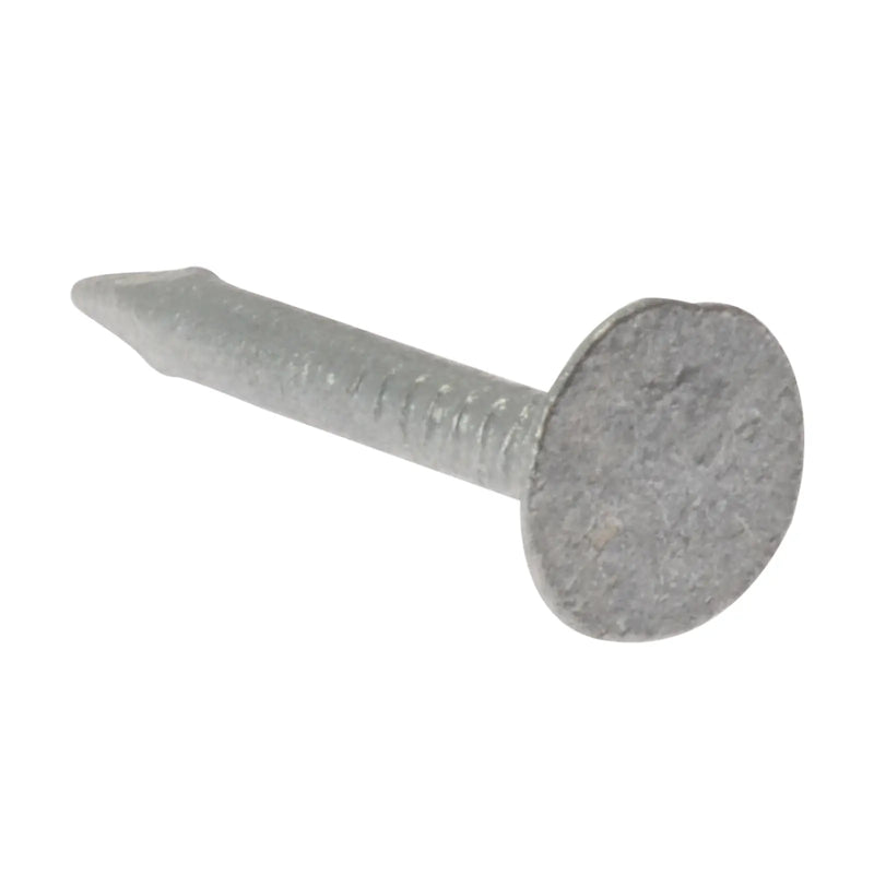 ELH Clout Nail Galv 3.00x25mm 2 1/2kg Bag (D4)