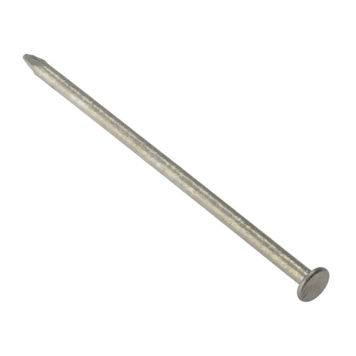 Batten Nail Galv 2.65x65mm 500gm Bag (D2)