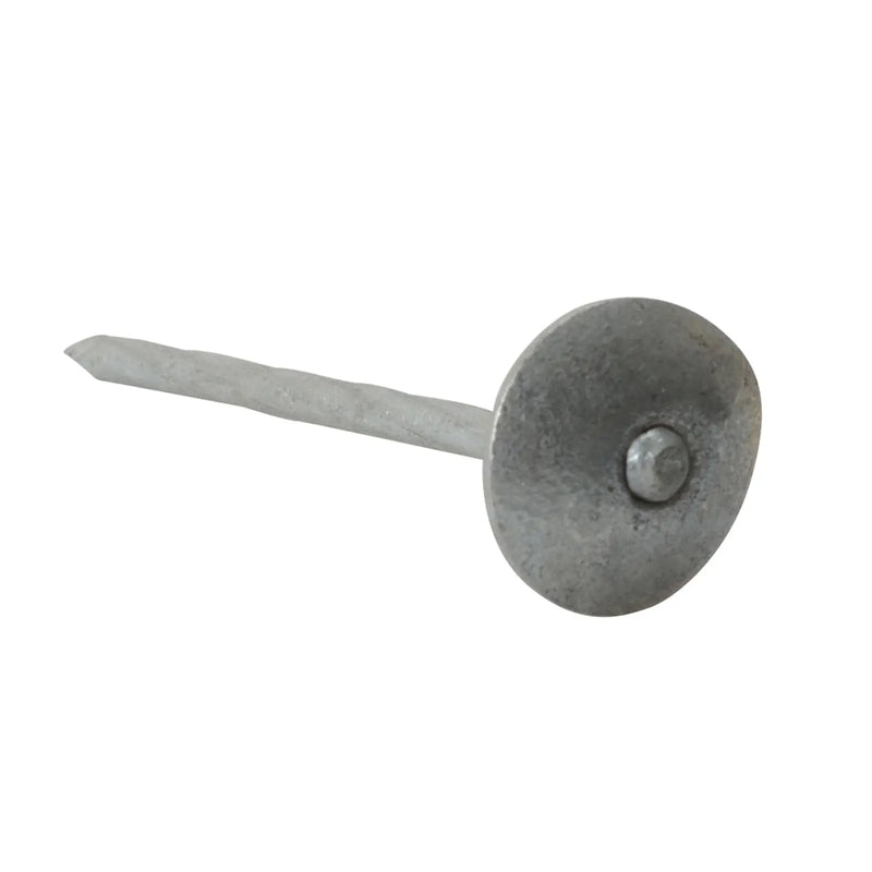Spring Hd Nail Galv 3.35x65mm 500gm Bag (D3)