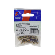 ForgePack Multi-Purpose Screw 30 per Pk ZYP 4.0x20mm (S)