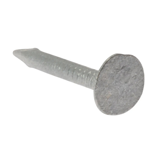 ELH Clout Nail Galv 3.00x25mm 1kg Bag (D3)