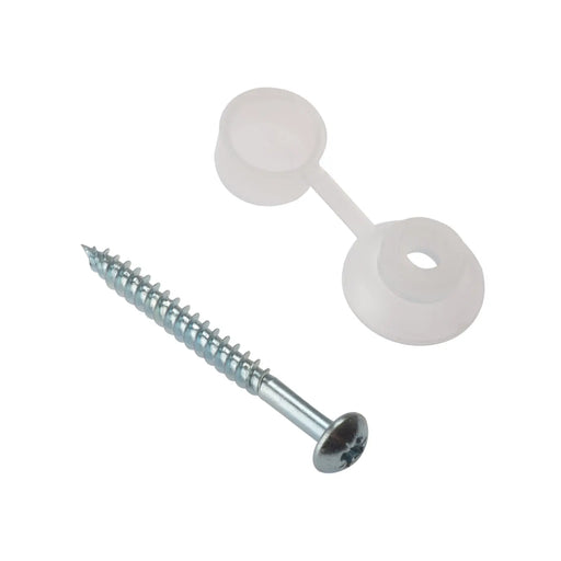 Corrugated Roofing Screw & Cap 10 Per Bag (D26)