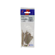 ForgePack Multi-Purpose Screw 20 per Pk ZYP 4.0x60mm (L)
