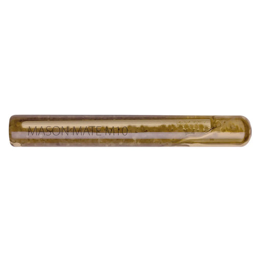 MasonMate Capsule Spin In M20 Vinylester Option7 Bx 10