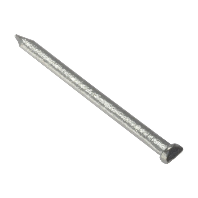 Oval Hd Nail Galv 50mm 500gm Bag (D2)