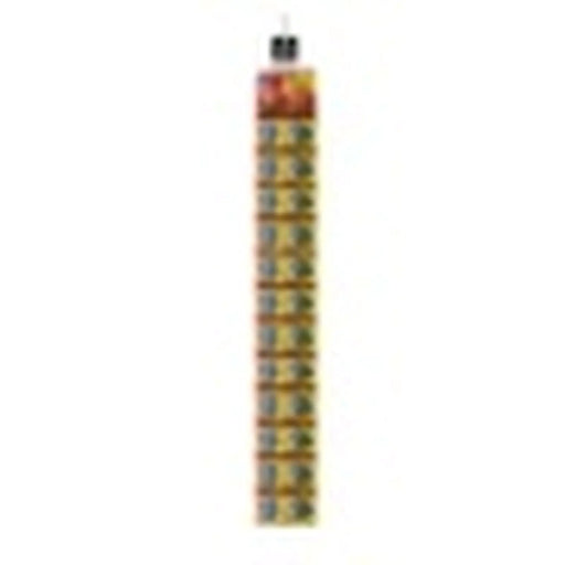 The Big Cheese Fresh Baited Mouse Trap Pack 2 Clip 24