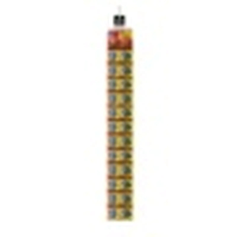 The Big Cheese Fresh Baited Mouse Trap Pack 2 Clip 24