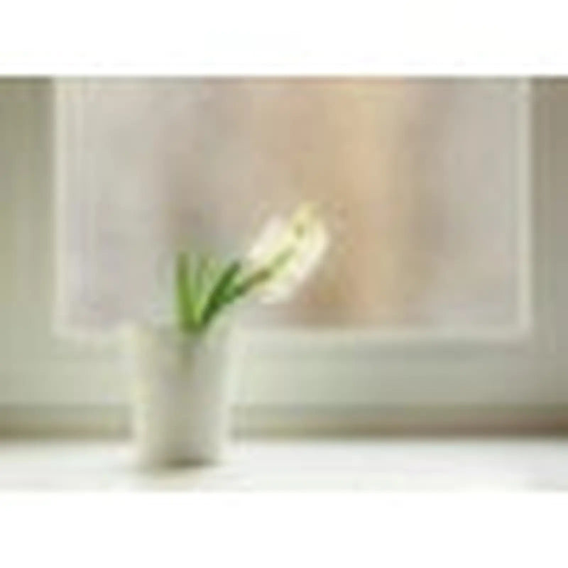 d-c-fix® Static Cling Window Film Ilva 90cm x 1.5m