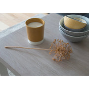 d-c-fix® Self Adhesive Film - Santana Oak Lime 45cm x 2m