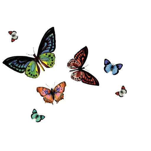 d-c-fix® Rio Placemat - Butterfly Transparent Pack 12