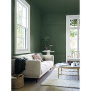 Crown Walls & Ceilings Matt 2.5L Woodland Wanderer