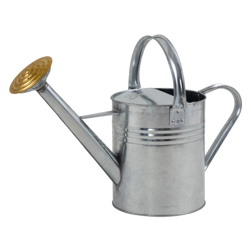 Ambassador Galvanised Watering Can 1 Gallon