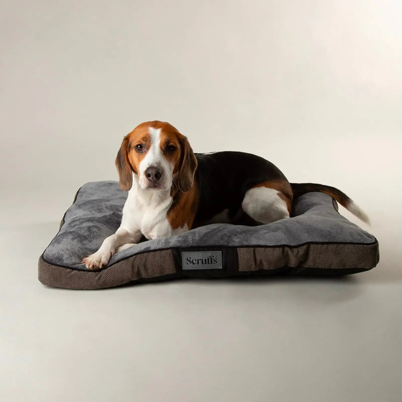 Scruffs Chester Mattress Medium 60 x 50cm