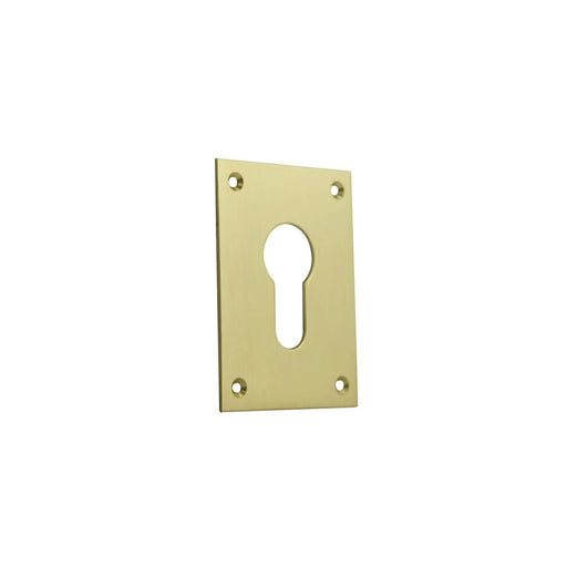 Jumbo Euro Escutcheons (Screw On) (SP123/SP124)