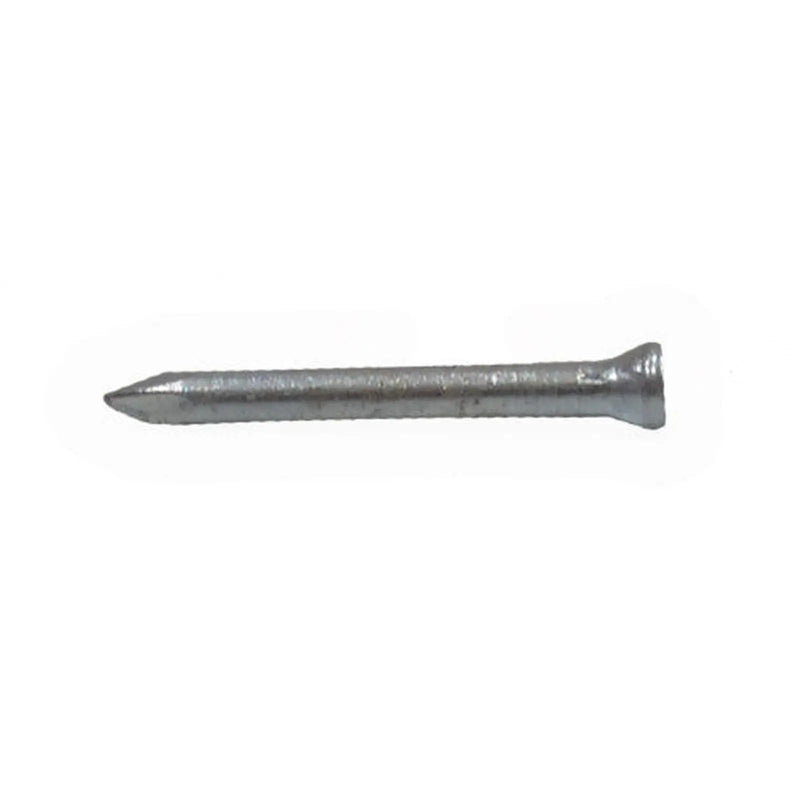 Centurion 25mm Masonry Nails  (100)