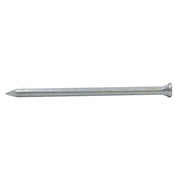 Centurion 60mm Masonry Nails  (100)