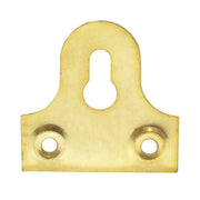 Centurion 38mm EB Slotted Glass Plate - Pack of 100