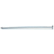 Centurion 100mm Masonry Nails  (100)