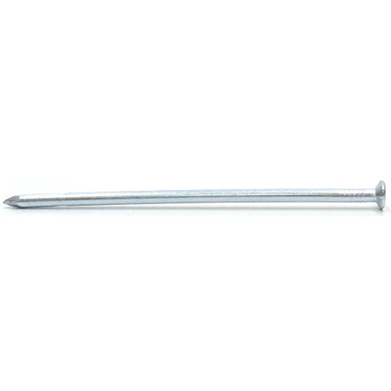 Centurion 100mm Masonry Nails  (100)