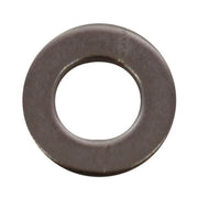 Centurion M6 SS Flat Washers   (100)
