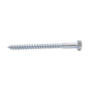 Centurion M8 x 100mm ZP Coach Screws   (100)