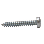 Centurion 1" x 8 ZP Pan Head Self Tapping Screws   (200)