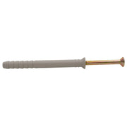 Centurion M10 x 100mm Hammer In Frame Fixings  (100)