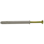 Centurion M10 x 100mm Screw In Frame Fixings   (50)