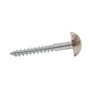 Centurion 35mm x 8 CP Dome Mirror Screws   (100)