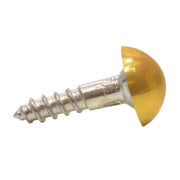 Centurion 25mm x 8 EB Dome Mirror Screws  (100)